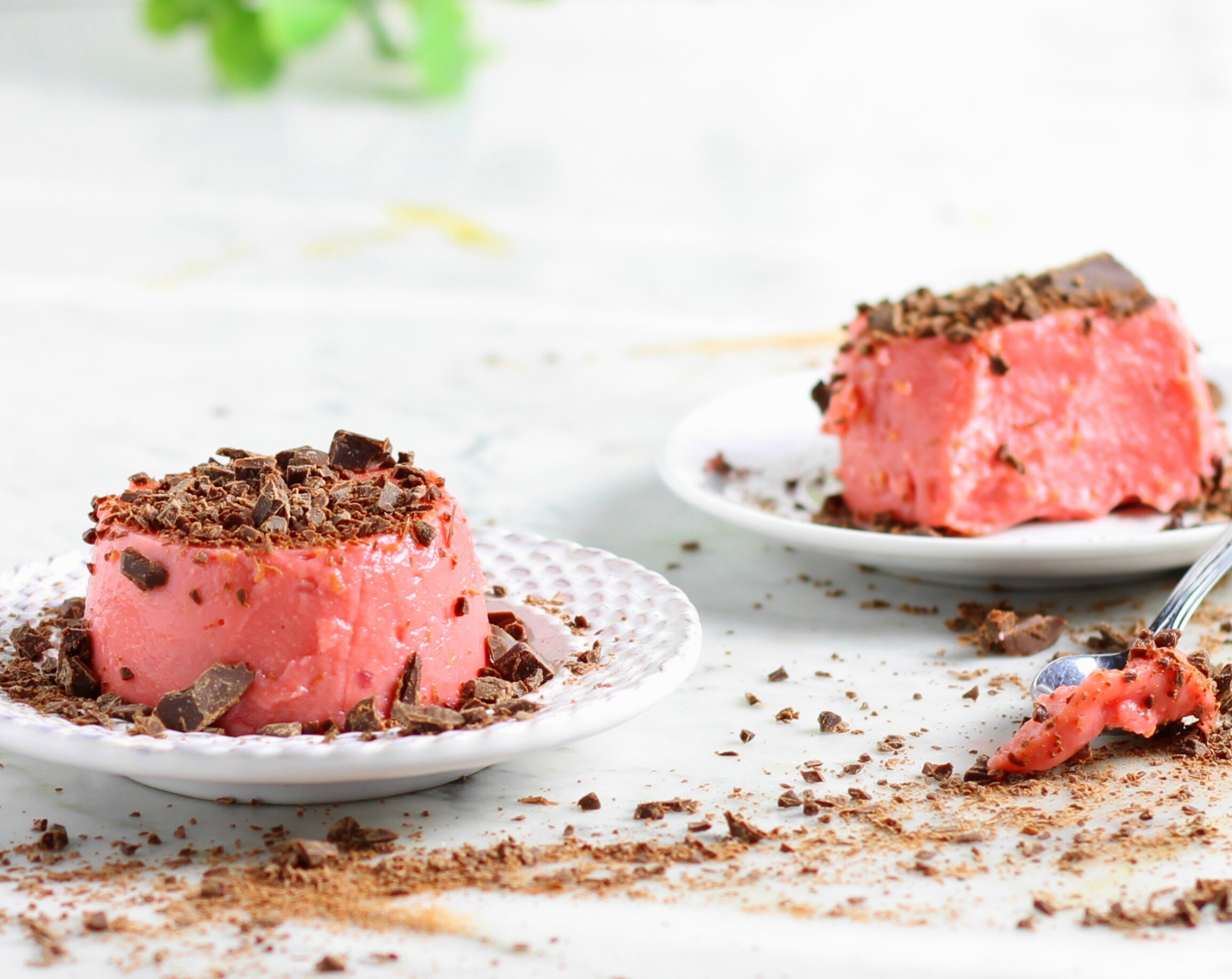 Raspberry and Dark Chocolate Pudding