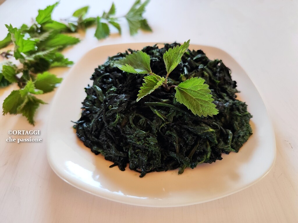 Sautéed Nettles – Stewed