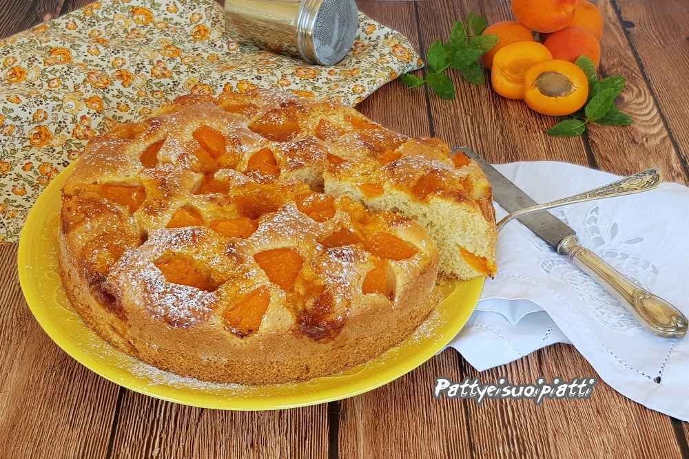 cake with fresh apricots