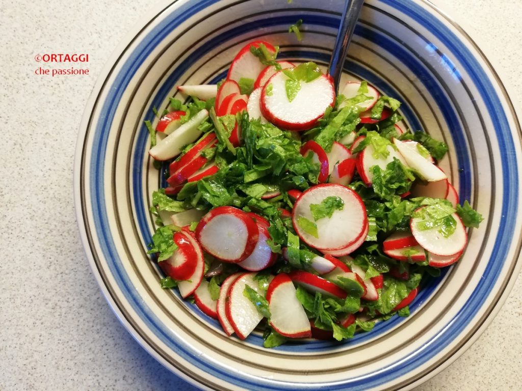 radish salad with fresh leaves