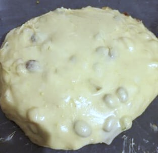 Sugar-Free and Lactose-Free Whole Wheat Panettone