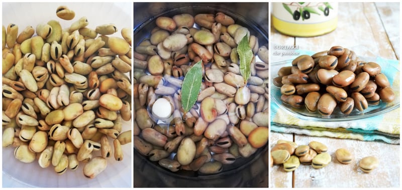 recipe photo dried fava beans - soaking and cooking