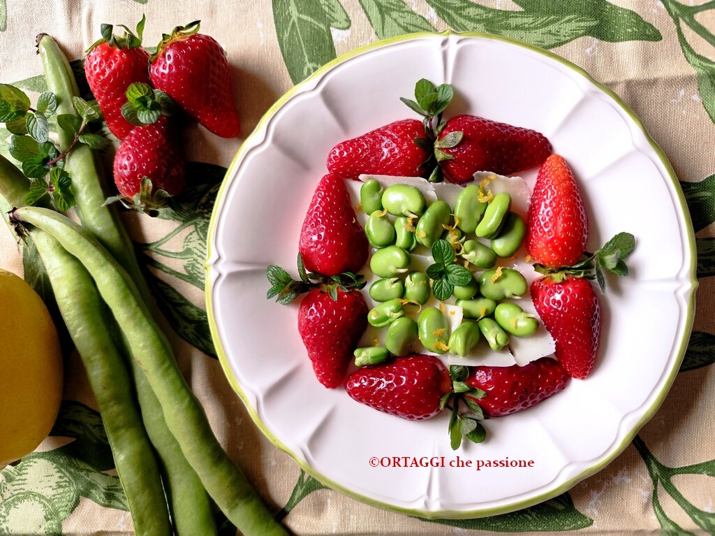 Raw Fava Bean and Mint Salad