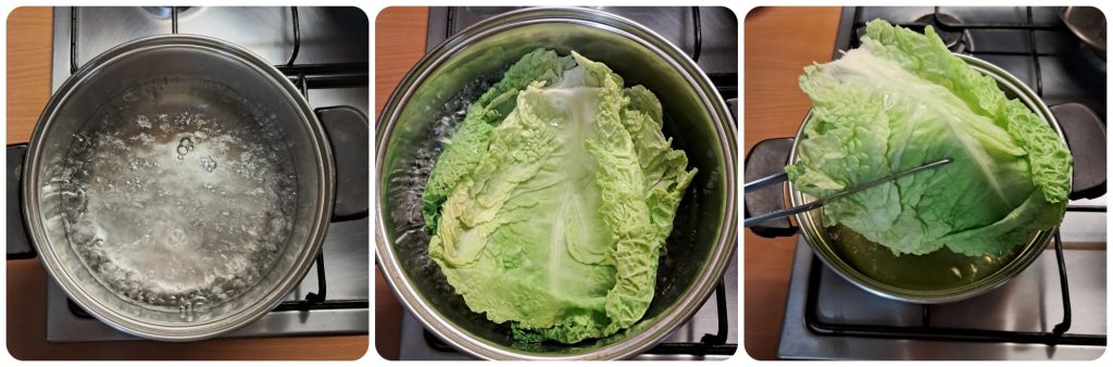 Savoy Cabbage Cutlets