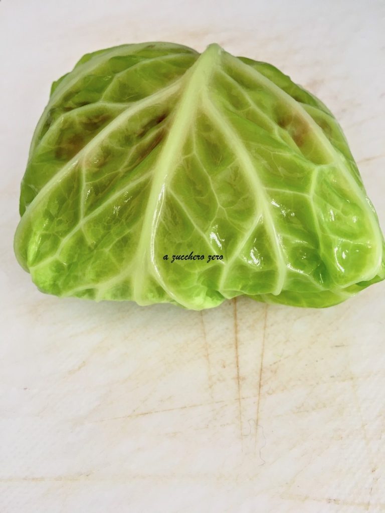 savoy cabbage roll with meat