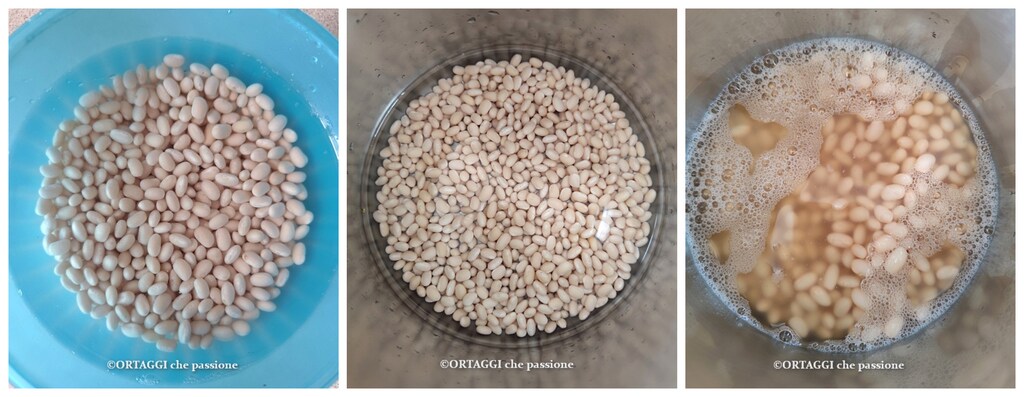 soaking and cooking dry beans
