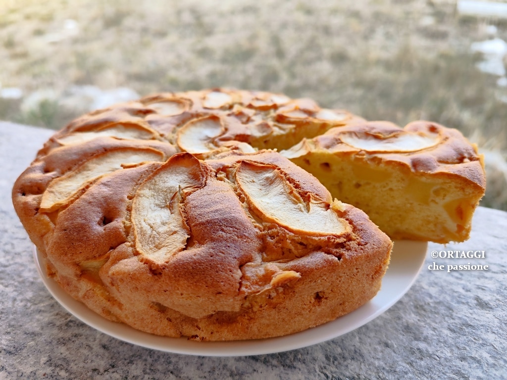 Grandma’s Soft Apple Cake