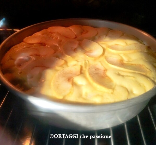 soft apple cake baking in oven - middle rack