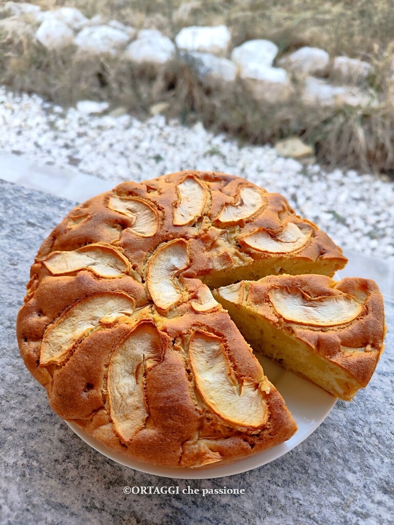 soft apple cake the best I've ever eaten