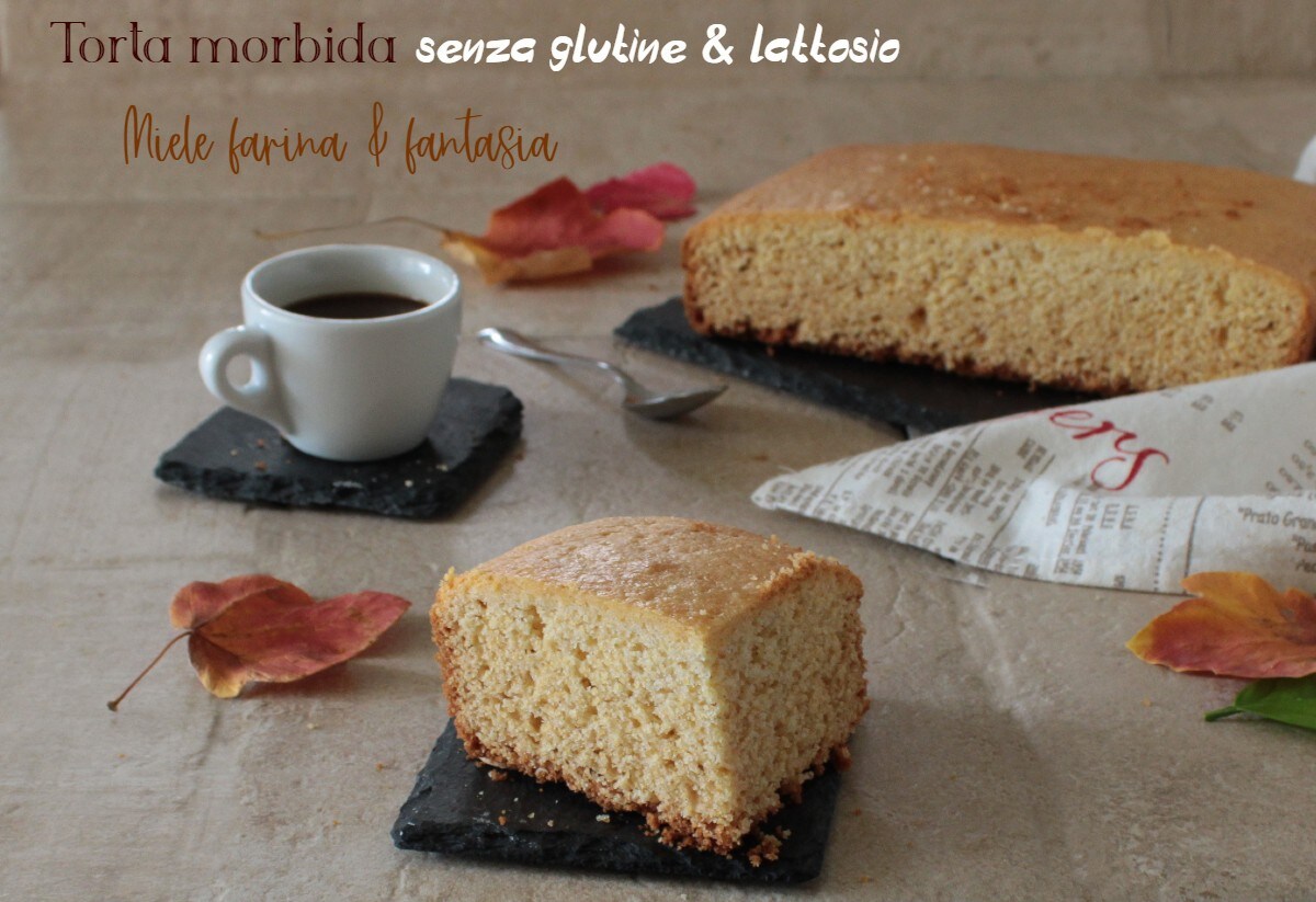 Soft Cake without Gluten or Lactose