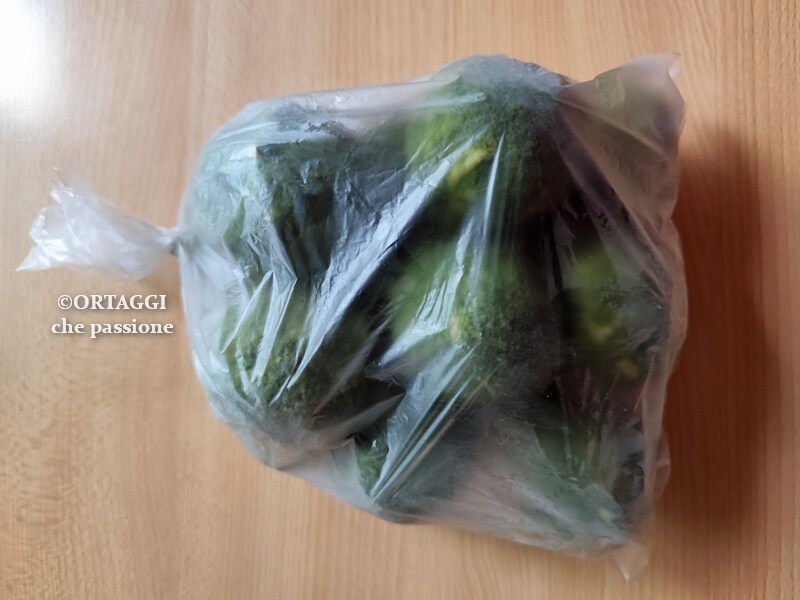 spinach dumplings in freezer