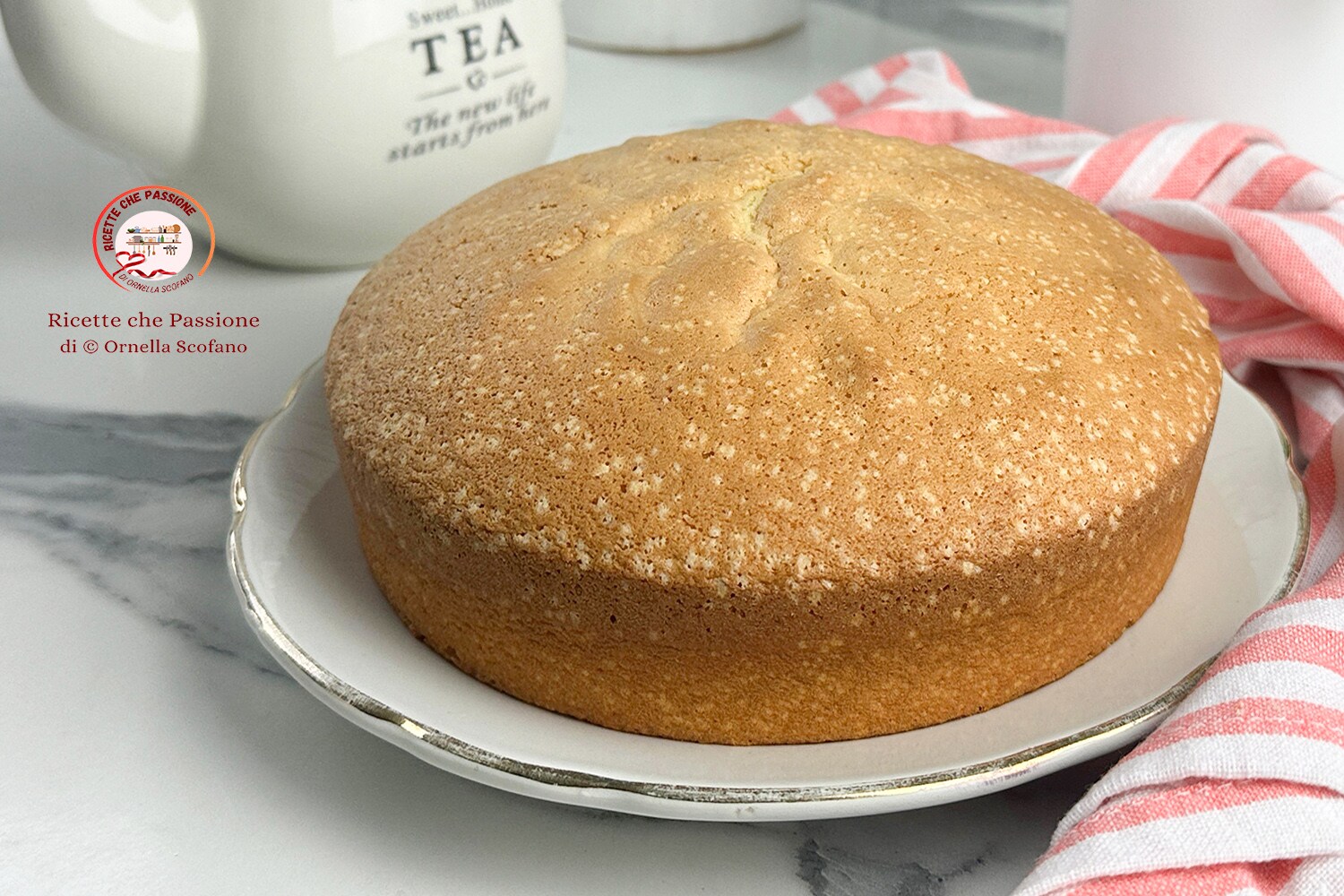 Perfect sponge cake without yeast with egg whites whipped separately perfect for Christmas zuccotto
