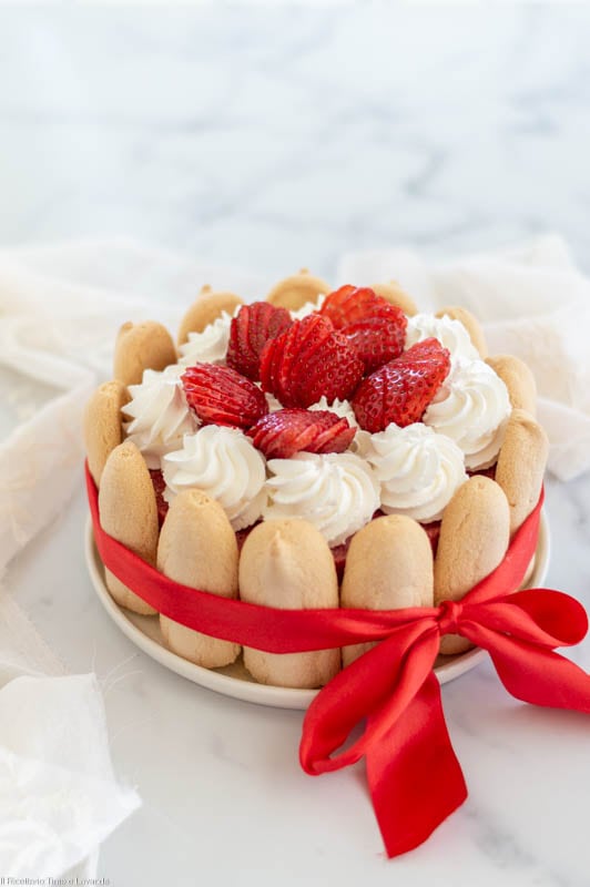 Strawberry Charlotte