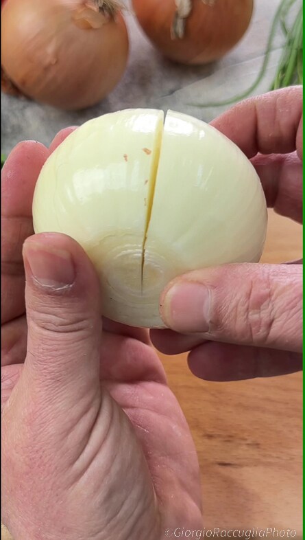 stuffed gratinated onions