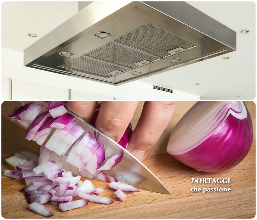 vegetables with passion - how to cut onions without tears under the kitchen hood on