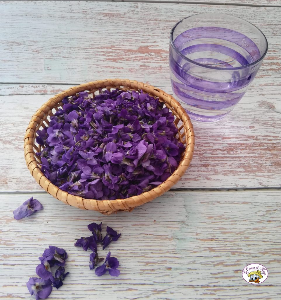 VIOLET SYRUP