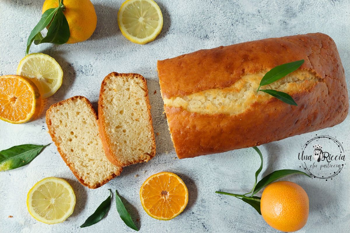 Yogurt and Citrus Plumcake