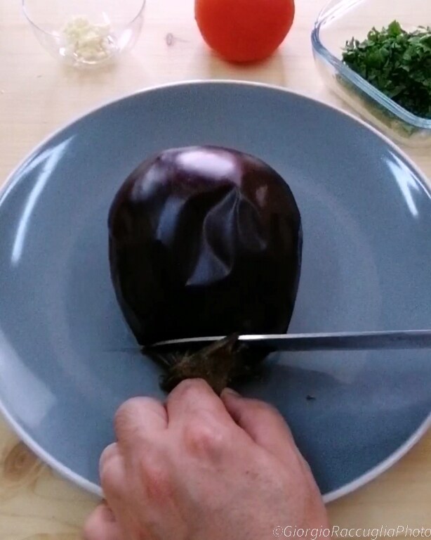 zaalouk recipe