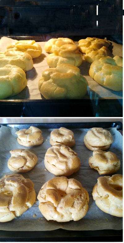 zeppole-2.jpg