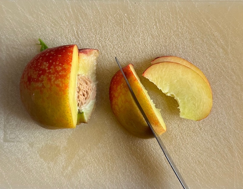 peach salad with feta and arugula 1 slice the nectarines into thin slices