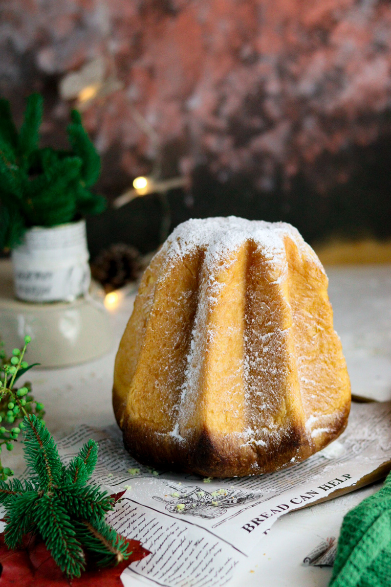 LIMONCELLO AND SOURDOUGH PANDORO