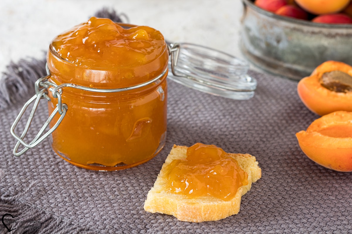 APRICOT JAM