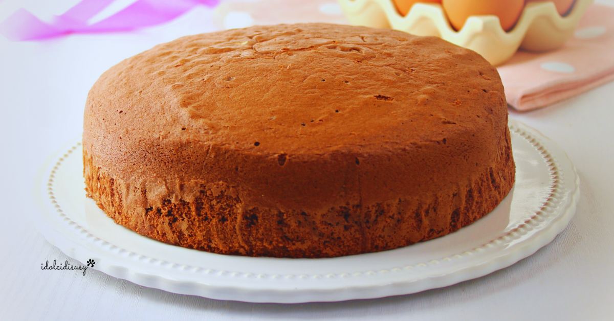 Soft cocoa sponge cake