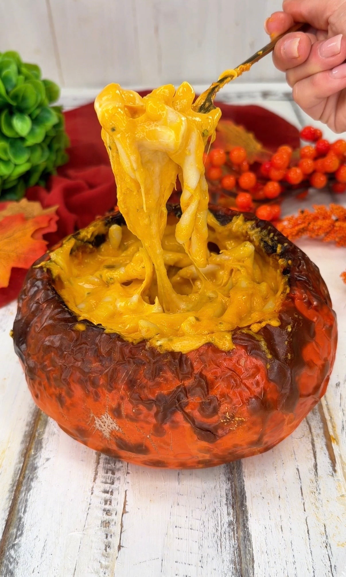 Cheesy Pumpkin Pasta