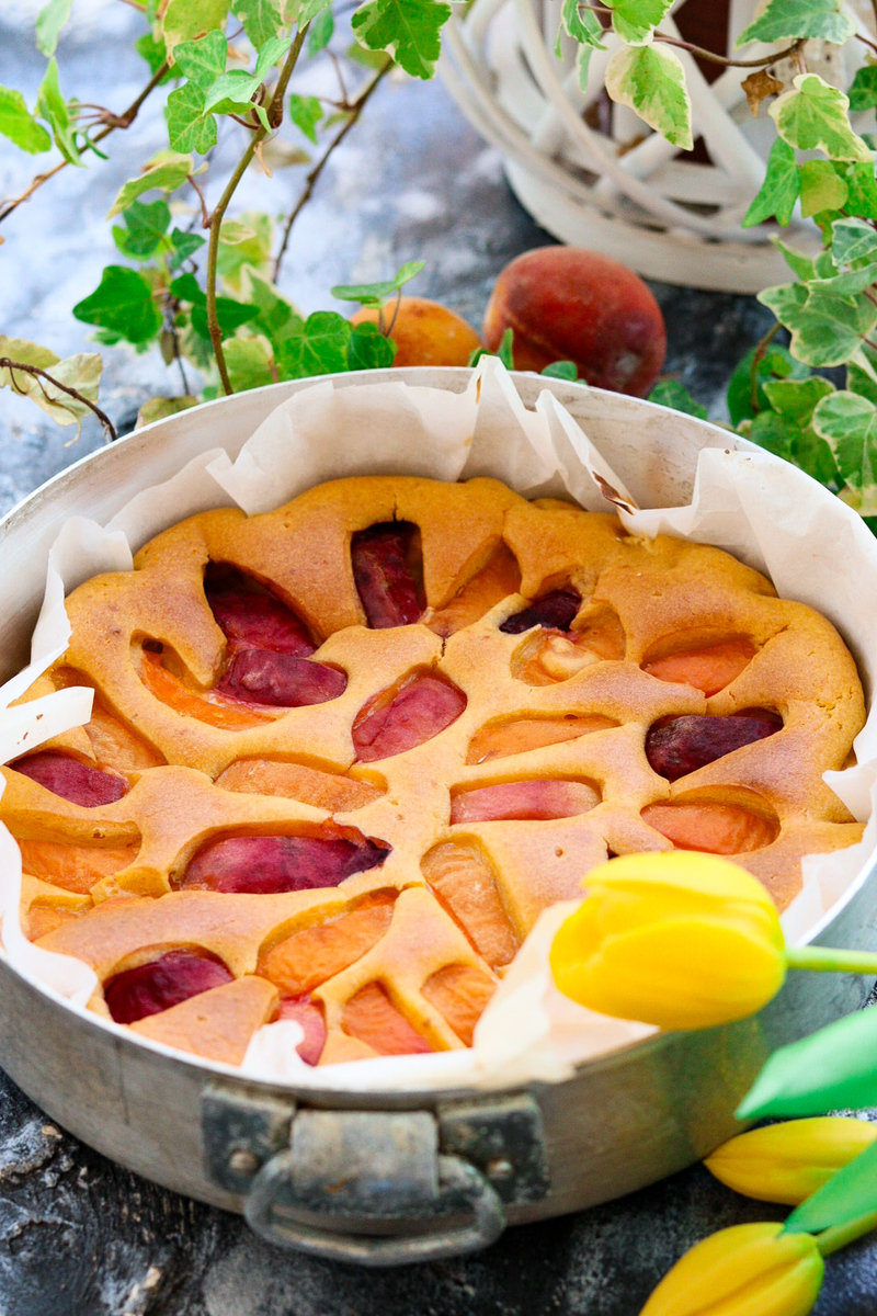 PEACH AND APRICOT CAKE WITHOUT LACTOSE WITH HONEY, ALL IN THE BLENDER