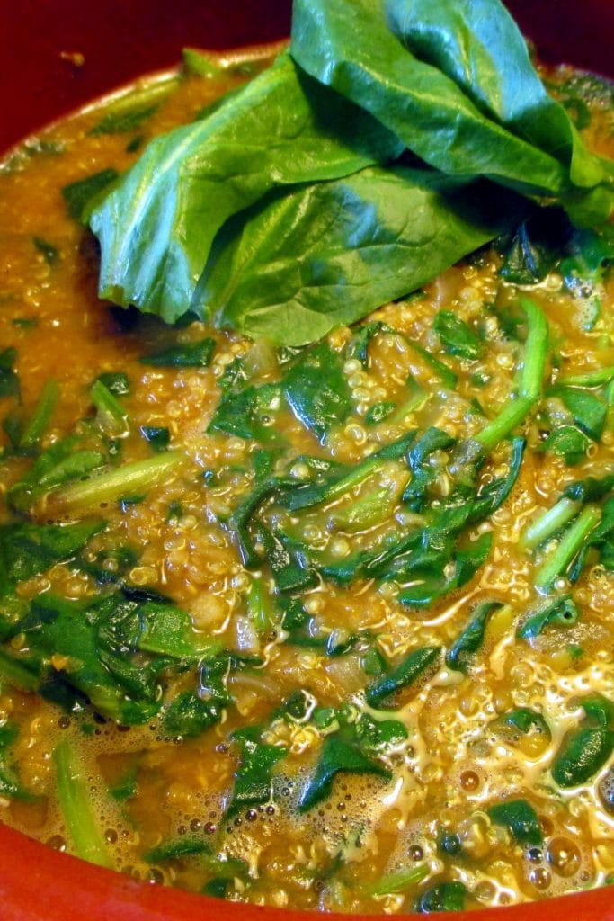 Lentil Spinach and Quinoa Soup, Eat Without Belly