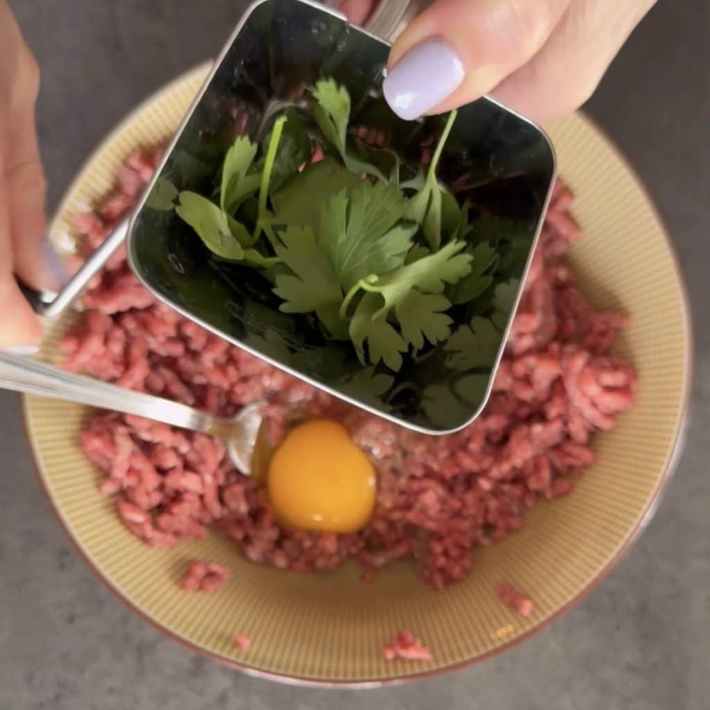 Meat and zucchini skewers