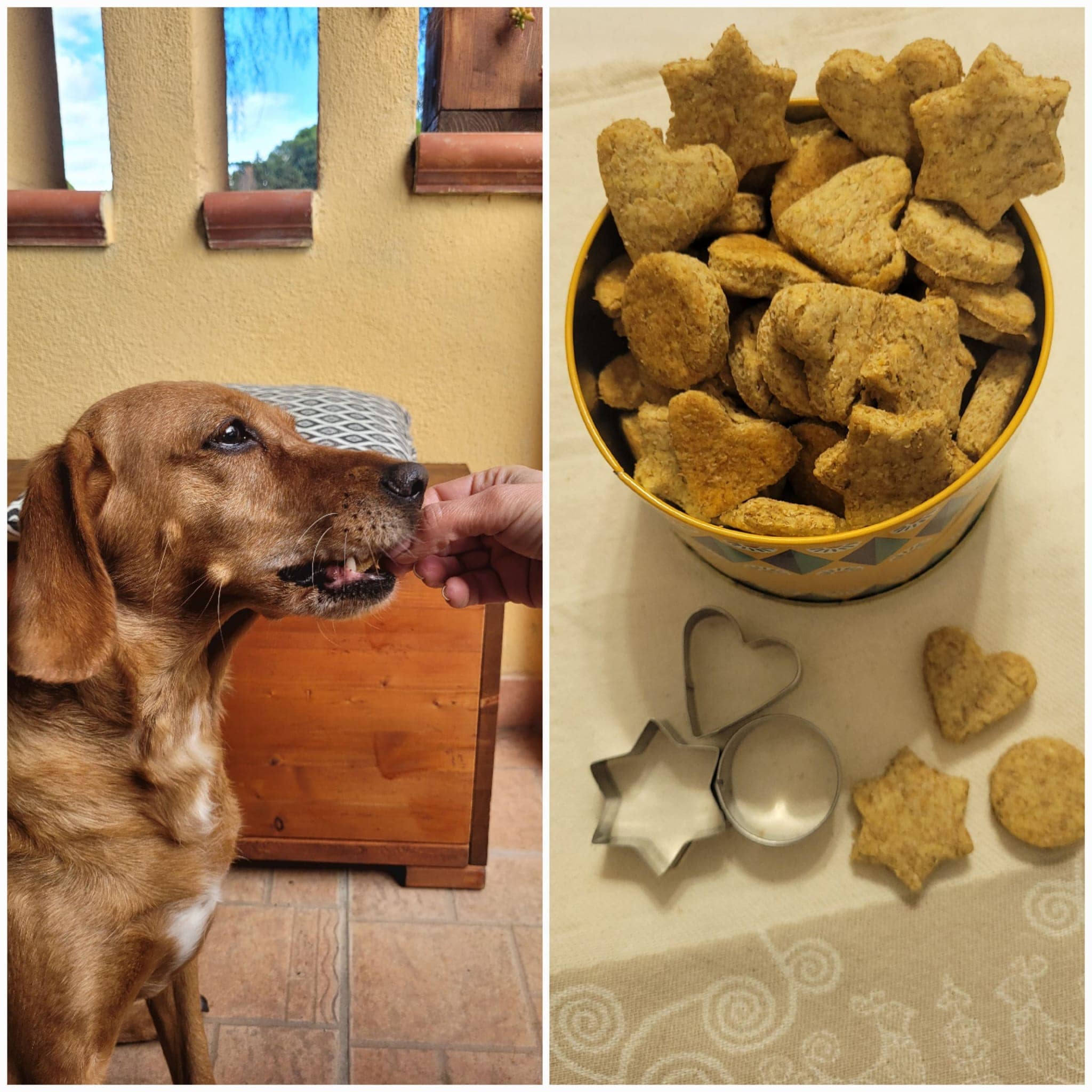 Homemade Dog Biscuits in the Air Fryer