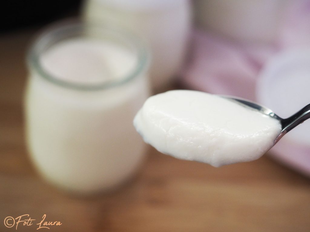 Close-up of yogurt on spoon