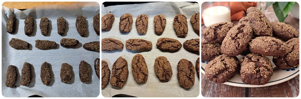 Dunkable Cocoa Cookies