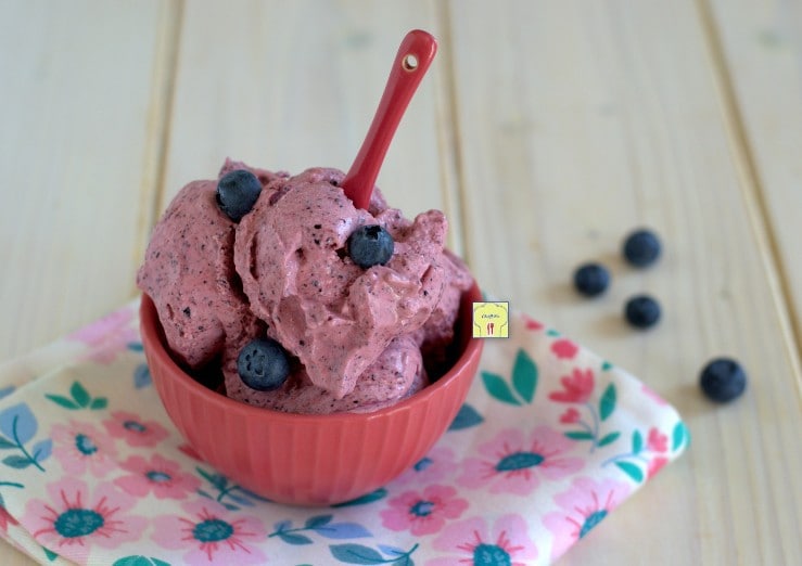 Homemade Blueberry Ice Cream