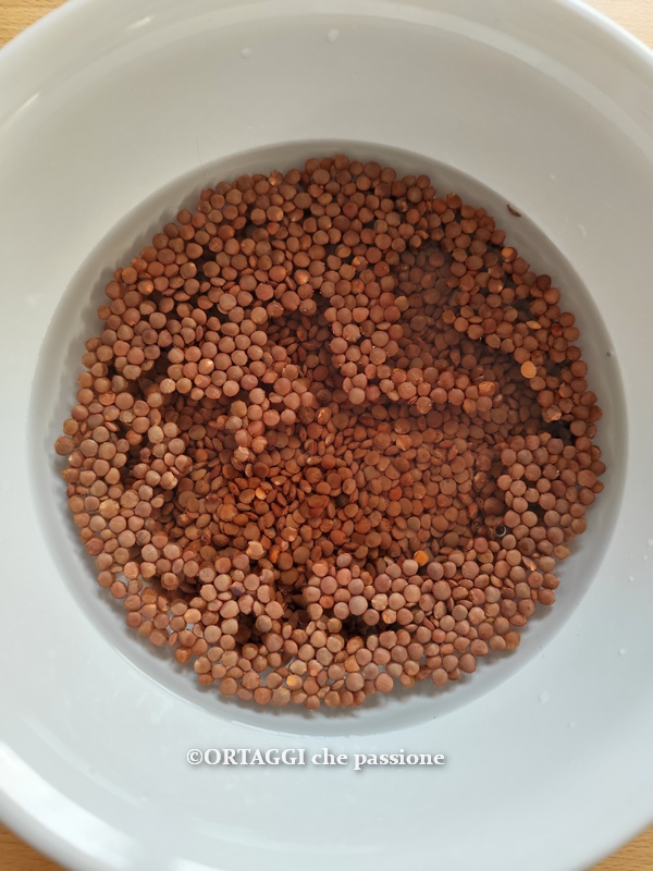 soaking lentils