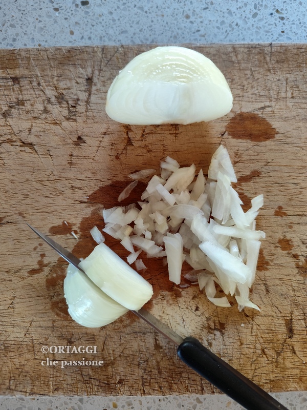 white onion cut