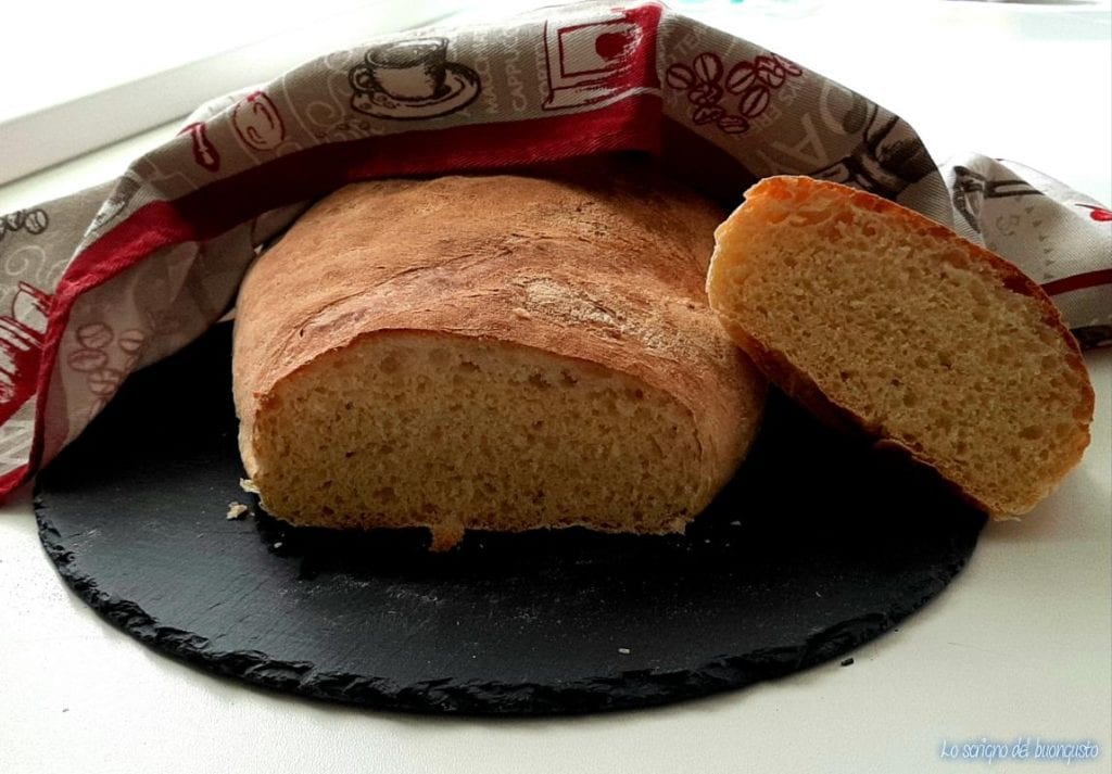 Pumpkin Bread with Bread Machine