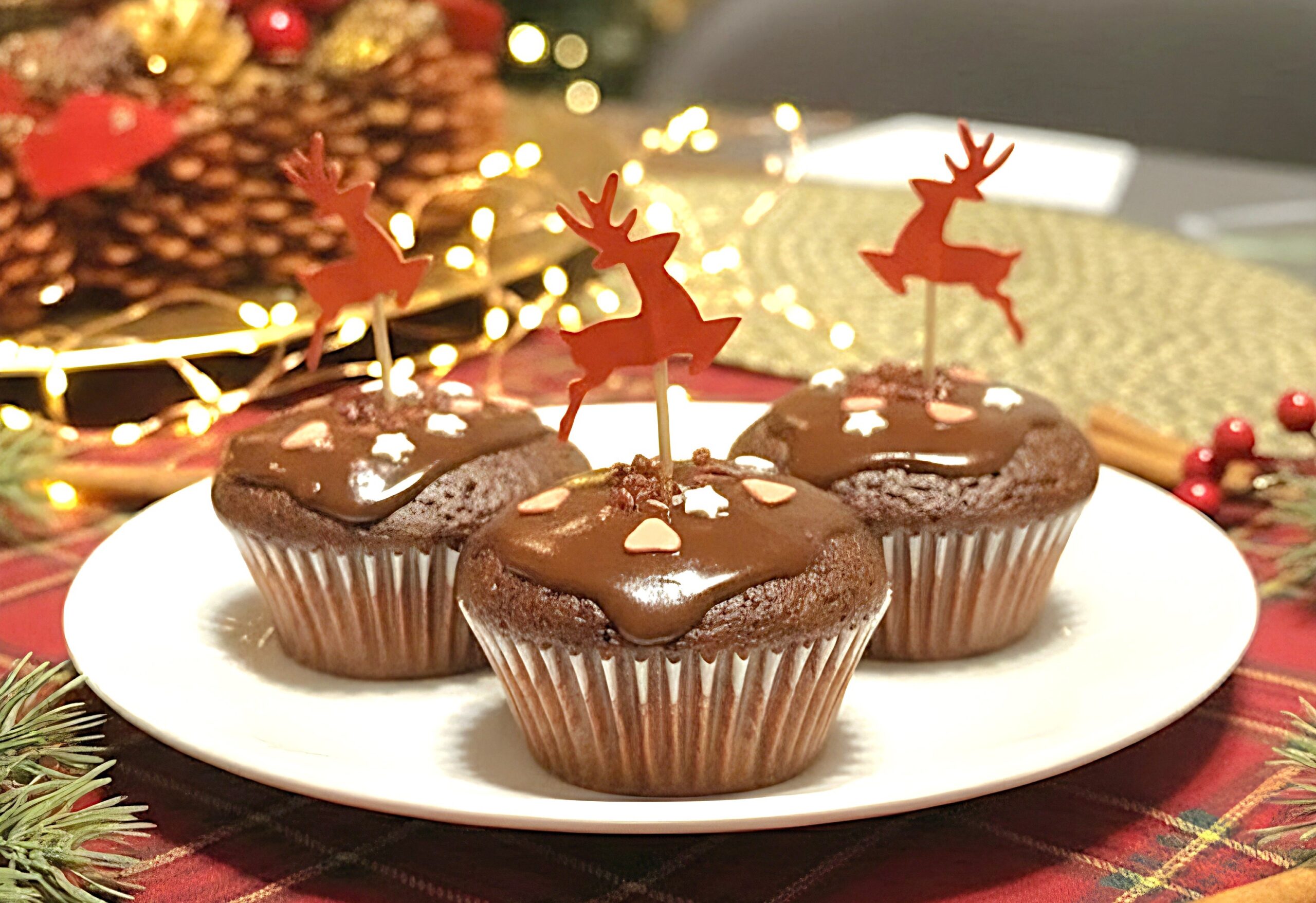 Diet Chocolate Muffin Recipe