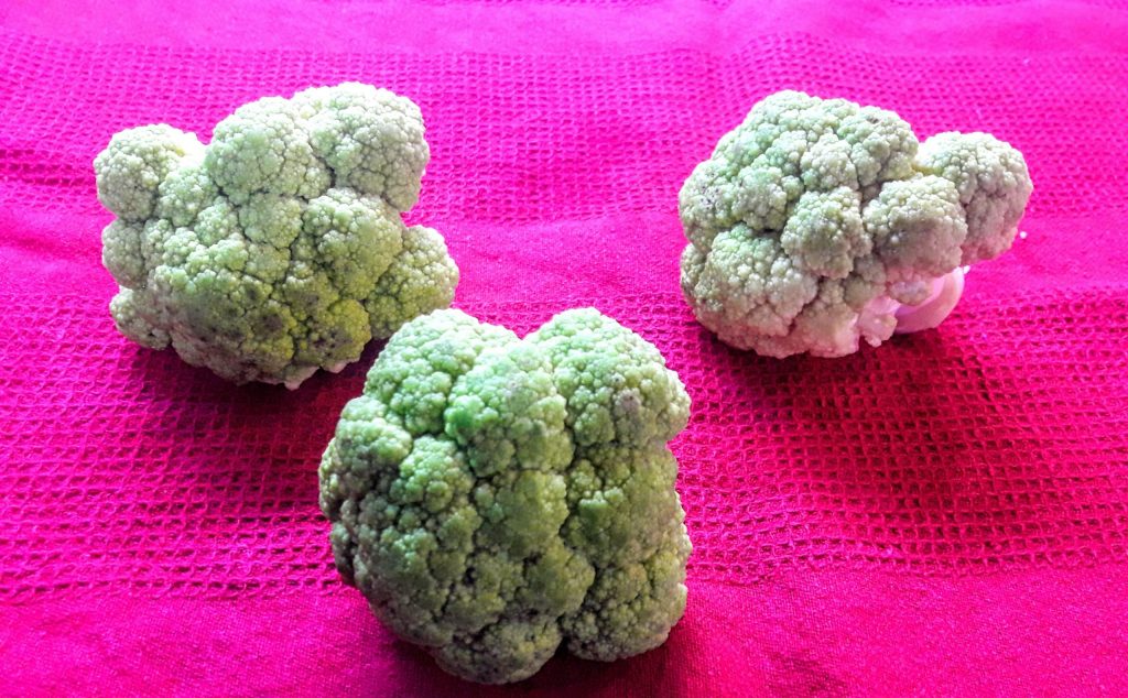 cauliflower