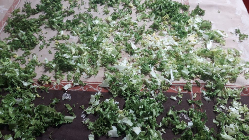 dry escarole