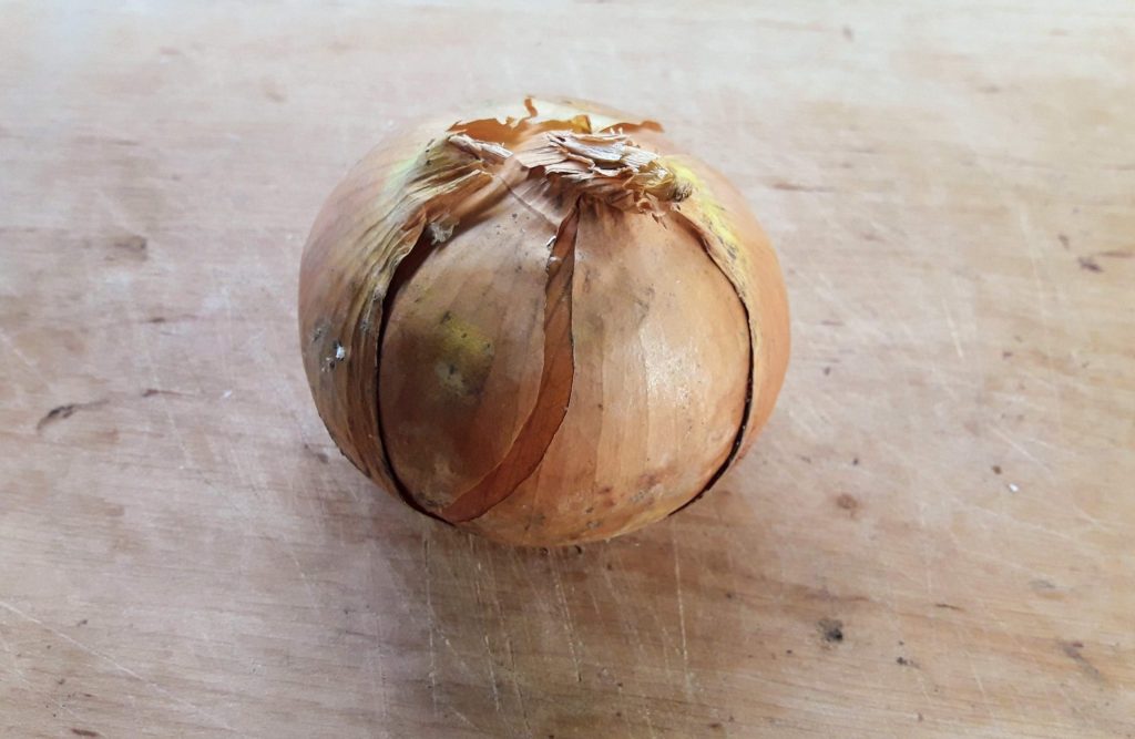 onion