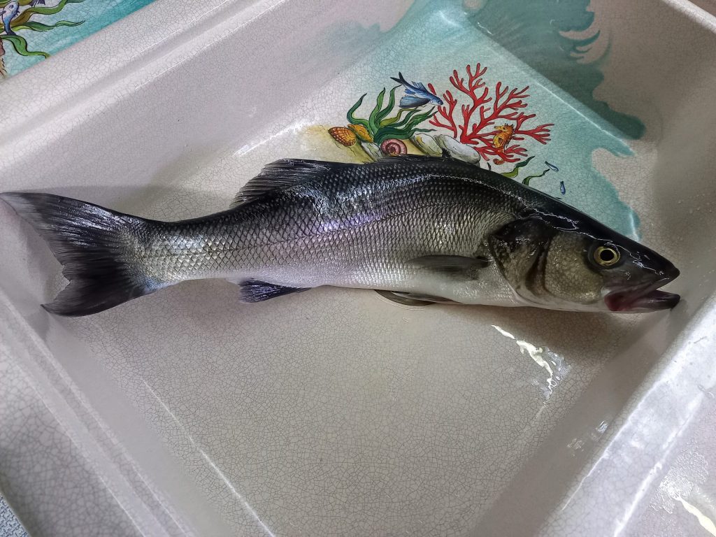 Sea Bass en Papillote with Mediterranean Aromas