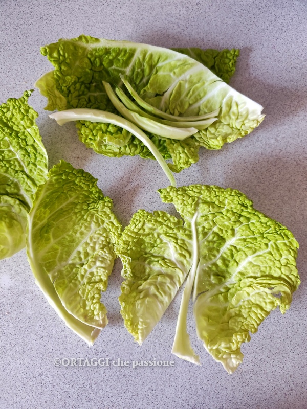 remove the central stalk of the cabbage
