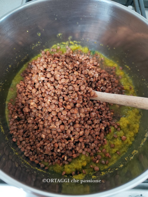 add the washed lentils to the soffritto