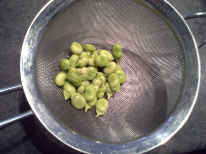 Blanching fava beans