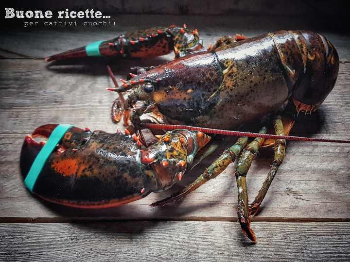 cook lobster, tricks and tips