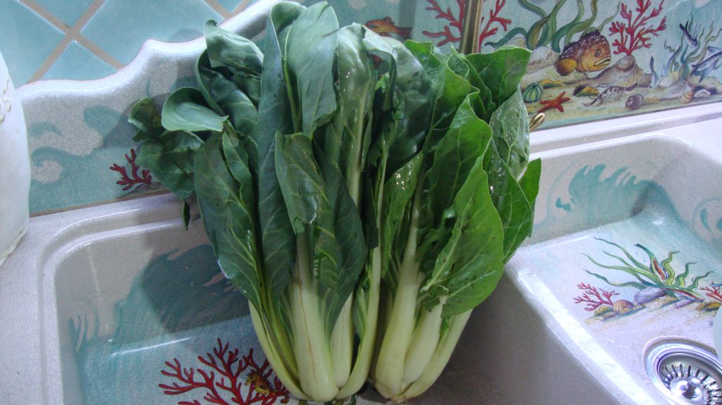 swiss chard