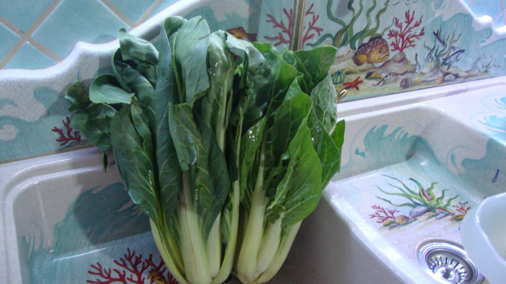 Swiss chard