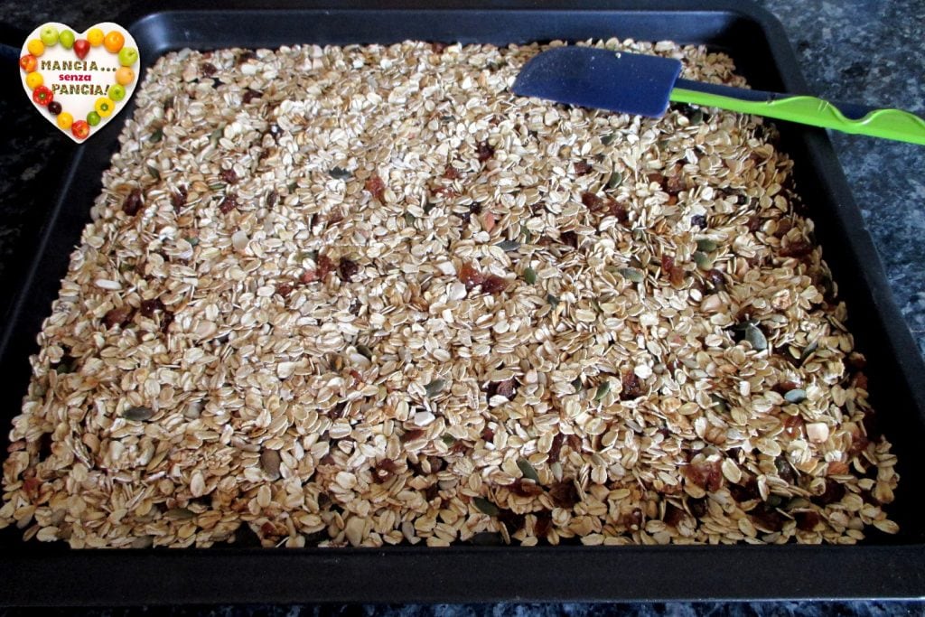 Homemade Granola in the Air Fryer, Eat Without Belly